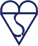 BS-Standard-icon-img